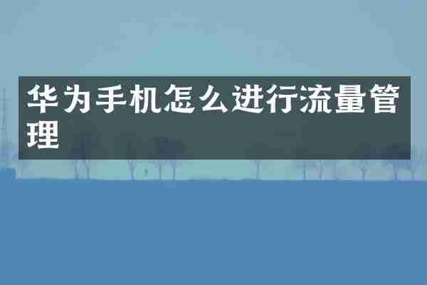 华为手机怎么进行流量管理