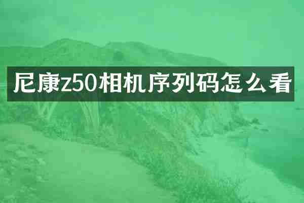 尼康z50相机序列码怎么看