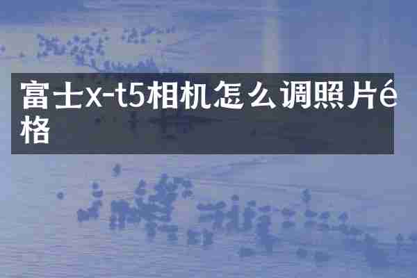 富士x-t5相机怎么调照片风格