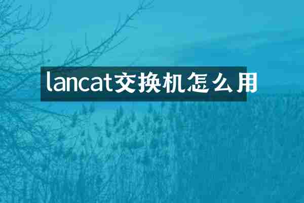 lancat交换机怎么用