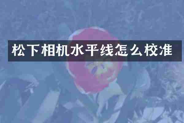 松下相机水平线怎么校准
