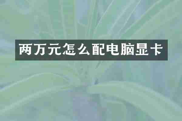 两万元怎么配电脑显卡