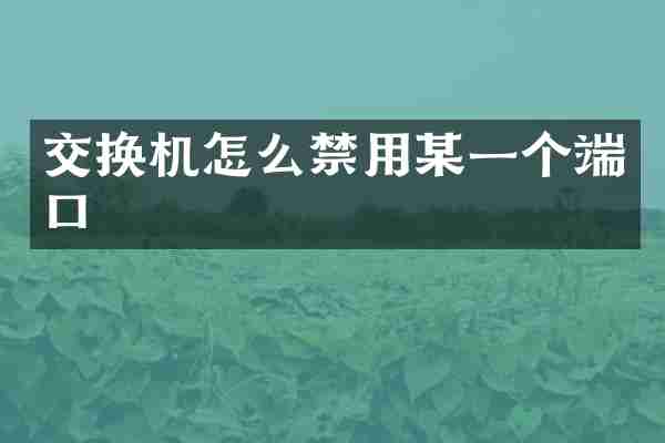 交换机怎么禁用某一个端口