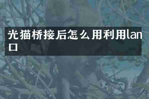 光猫桥接后怎么用利用lan口