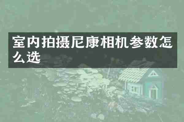 室内拍摄尼康相机参数怎么选