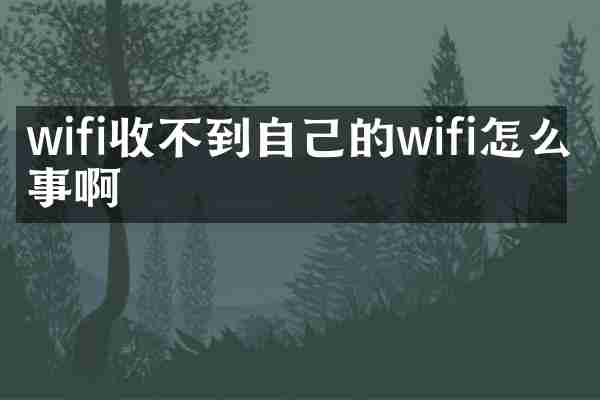wifi收不到自己的wifi怎么回事啊
