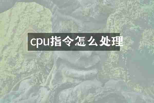 cpu指令怎么处理