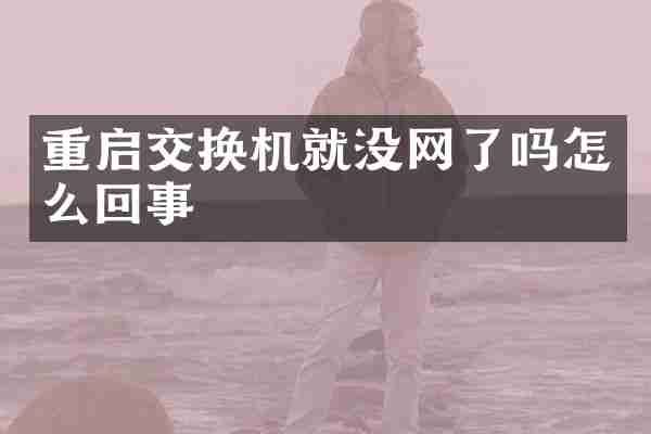 重启交换机就没网了吗怎么回事