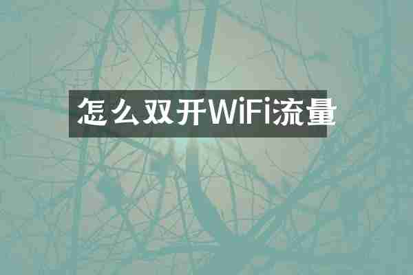 怎么双开WiFi流量