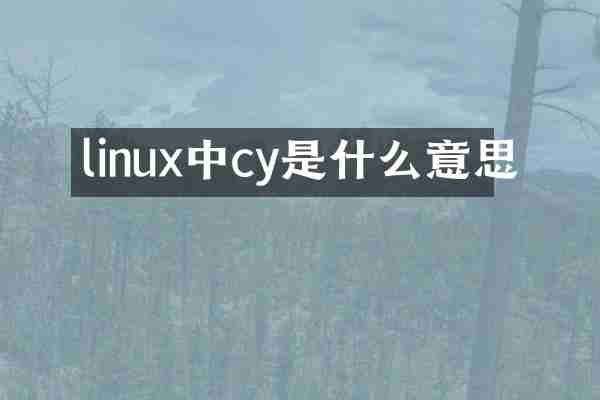 linux中cy是什么意思