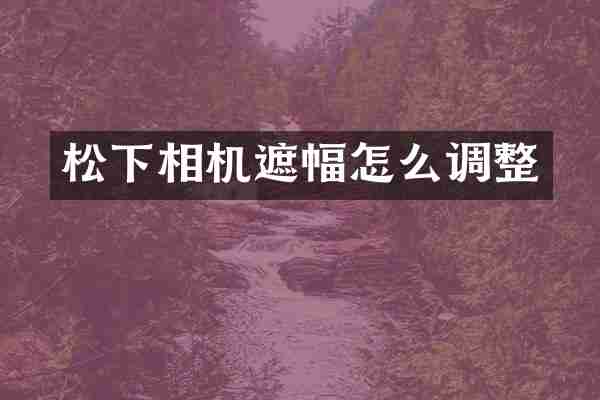 松下相机遮幅怎么调整