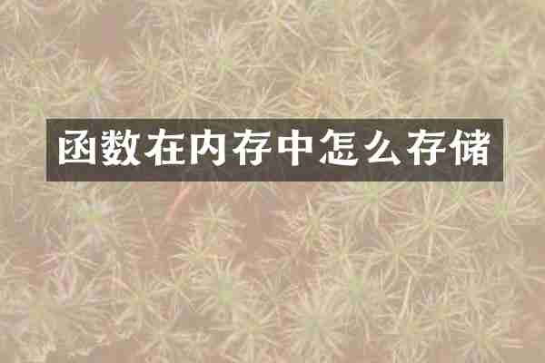函数在内存中怎么存储