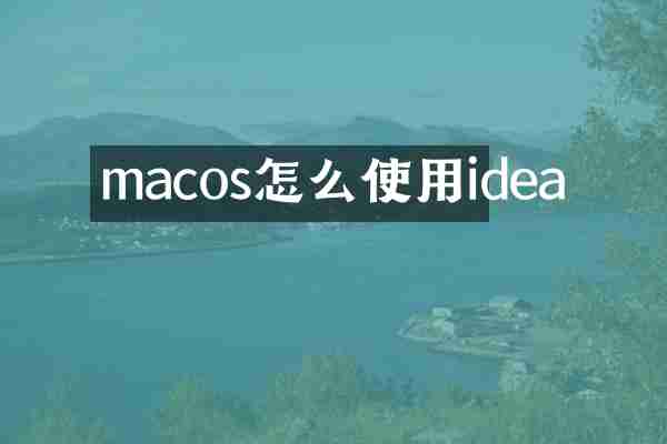macos怎么使用idea
