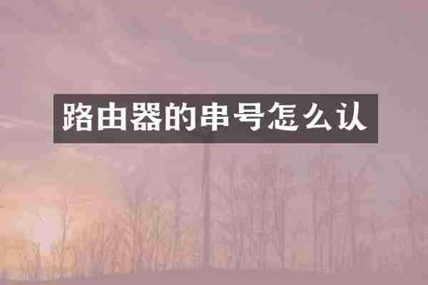 路由器的串号怎么认