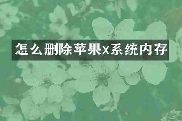 怎么删除苹果x系统内存