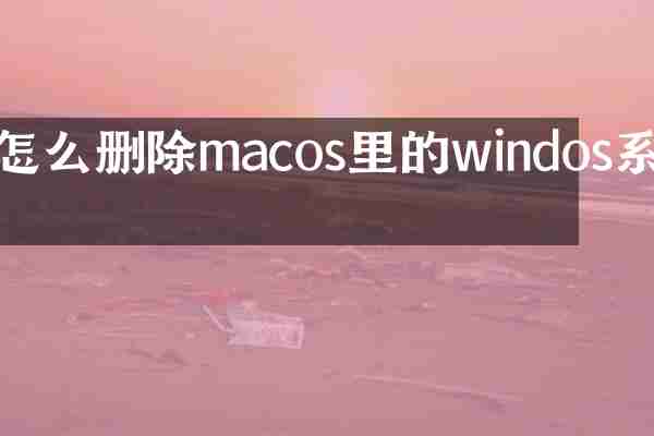 怎么删除macos里的windos系统