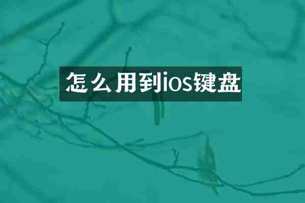 怎么用到ios键盘