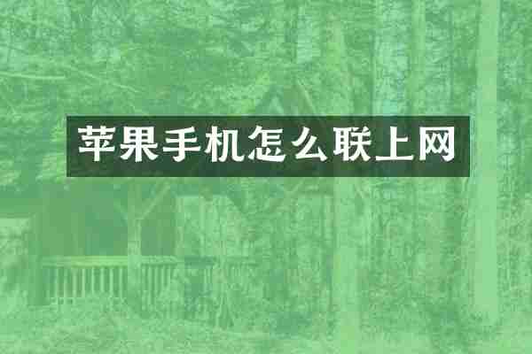 苹果手机怎么联上网