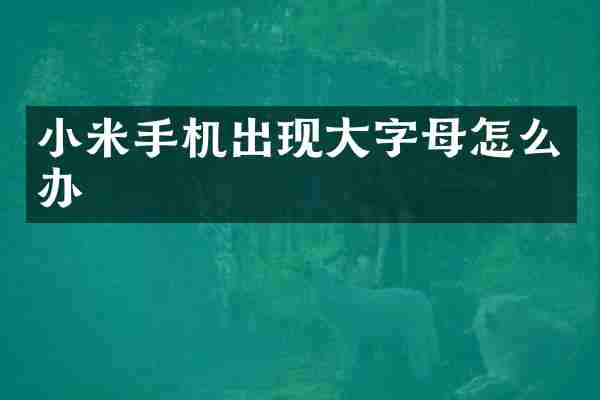 小米手机出现大字母怎么办