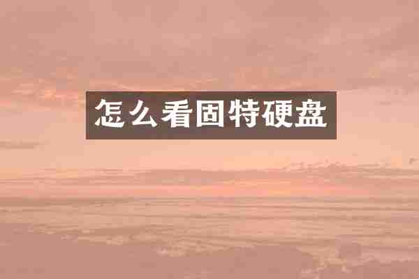 怎么看固特硬盘