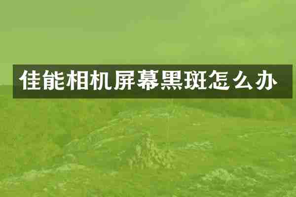 佳能相机屏幕黑斑怎么办