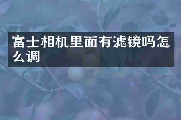 富士相机里面有滤镜吗怎么调