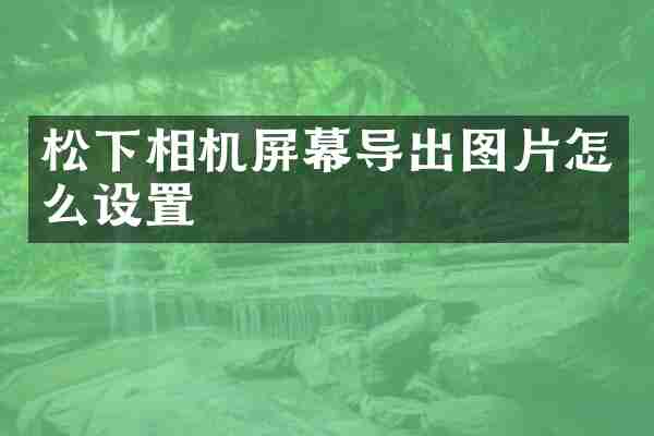 松下相机屏幕导出图片怎么设置