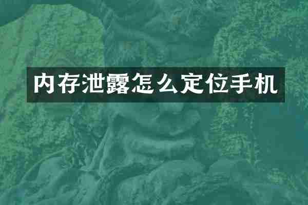 内存泄露怎么定位手机