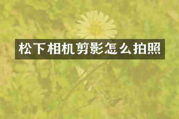 松下相机剪影怎么拍照