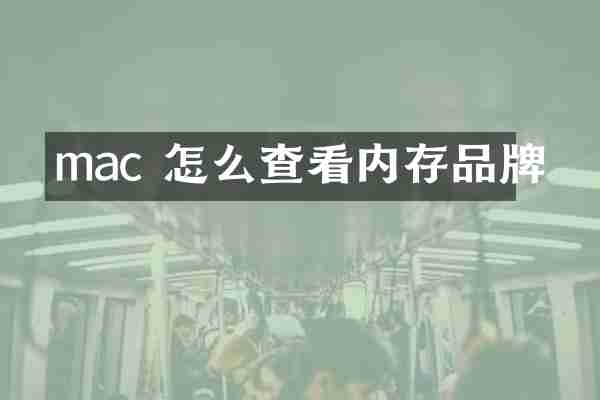 mac 怎么查看内存品牌