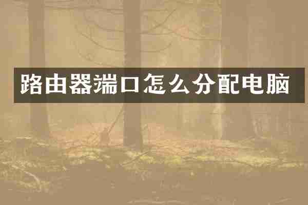 路由器端口怎么分配电脑