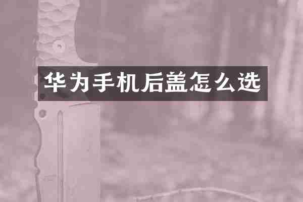 华为手机后盖怎么选
