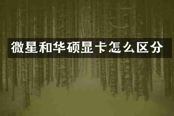 微星和华硕显卡怎么区分
