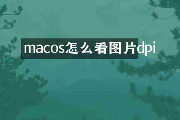 macos怎么看图片dpi