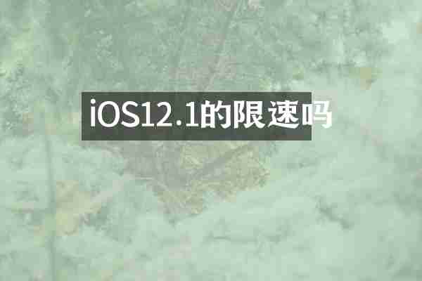 iOS12.1的限速吗