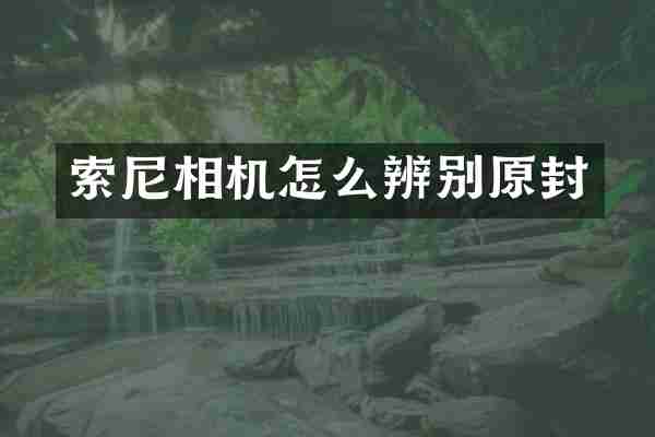 索尼相机怎么辨别原封