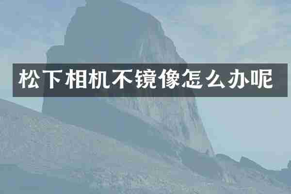 松下相机不镜像怎么办呢