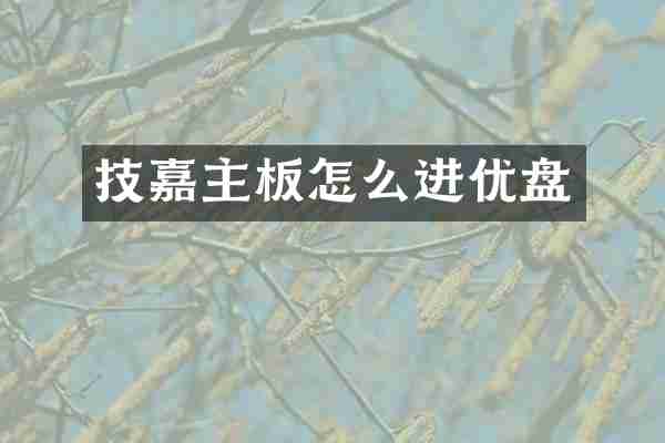 技嘉主板怎么进优盘
