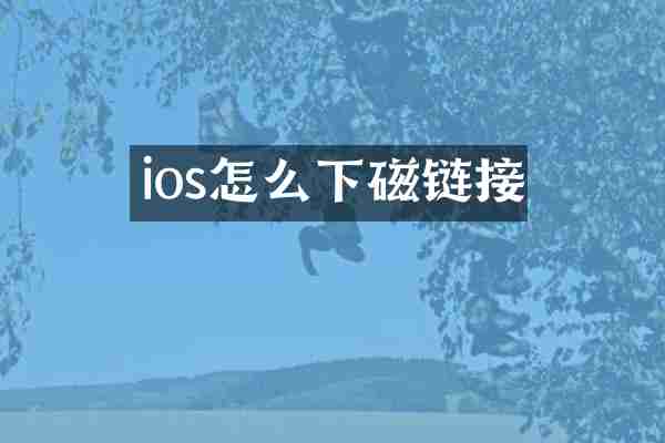 ios怎么下磁链接