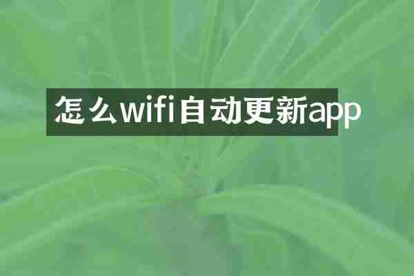怎么wifi自动更新app
