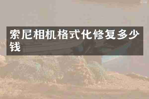 索尼相机格式化修复多少钱