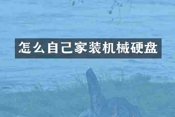 怎么自己家装机械硬盘