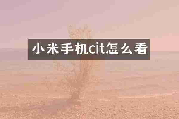 小米手机cit怎么看