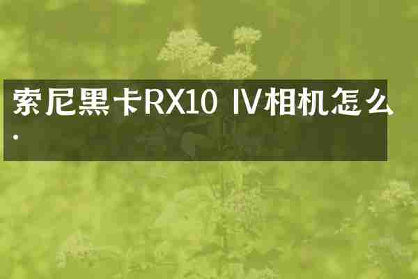 索尼黑卡RX10 IV相机怎么样