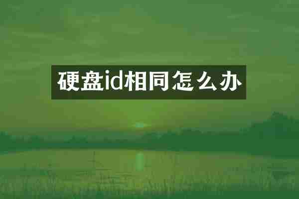 硬盘id相同怎么办