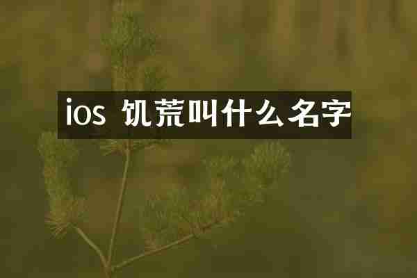 ios 饥荒叫什么名字