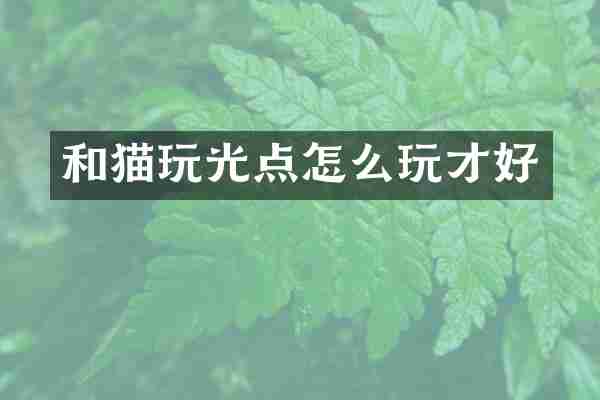和猫玩光点怎么玩才好