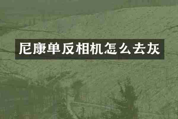 尼康单反相机怎么去灰
