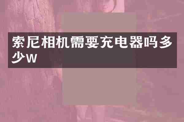 索尼相机需要充电器吗多少w