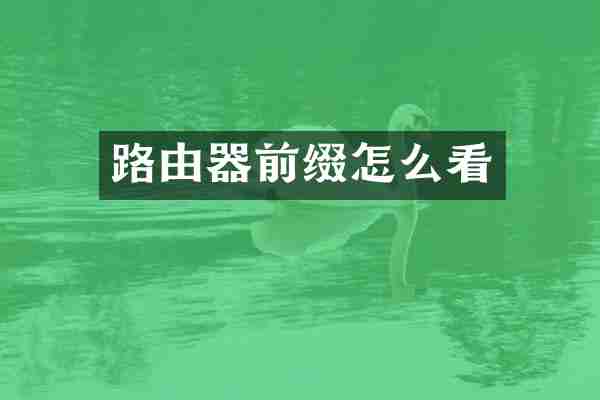 路由器前缀怎么看